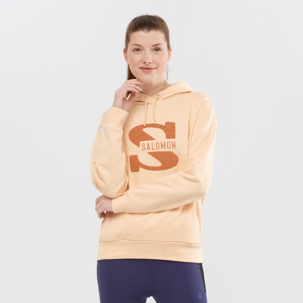 Salomon Israel OUTLIFE LOGO SUMMER - Womens Pullover - Beige (NKGV-50237)